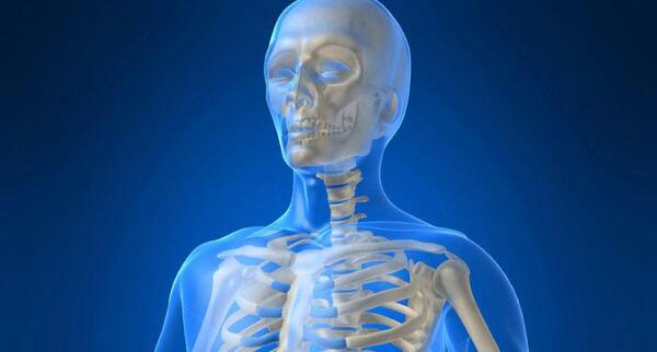 عکس اسکلت علوم کلاس پنجم