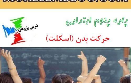 عکس اسکلت علوم کلاس پنجم