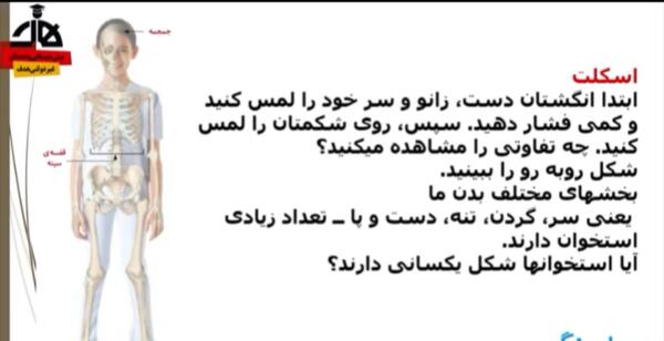 عکس اسکلت علوم کلاس پنجم