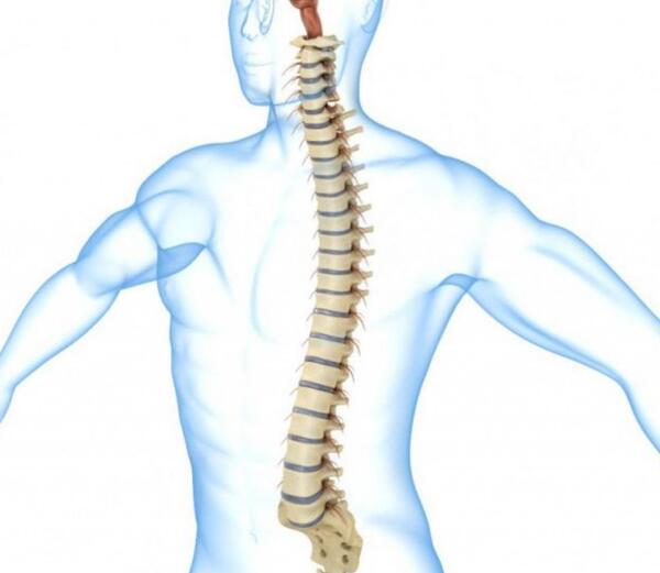 عکس اسکلت برای علوم