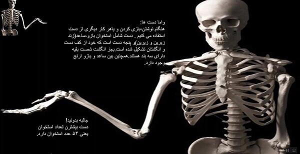 عکس اسکلت برای علوم