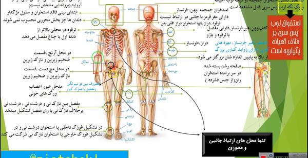 عکس اسکلت درس علوم