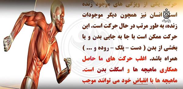 عکس اسکلت درس علوم