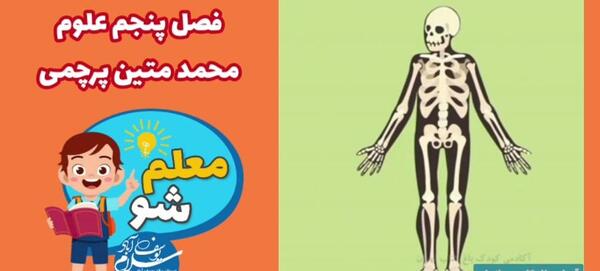 عکس اسکلت درس علوم