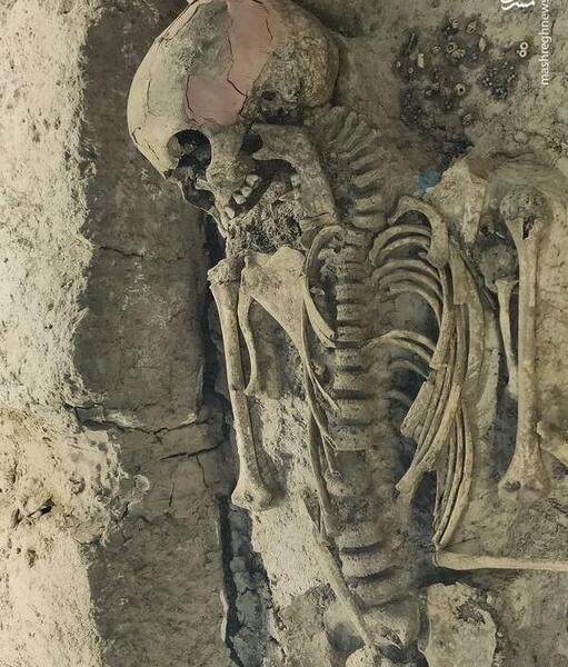 عکس اسکلت سرباز