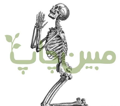 عکس اسکلت عاشقانه فانتزی