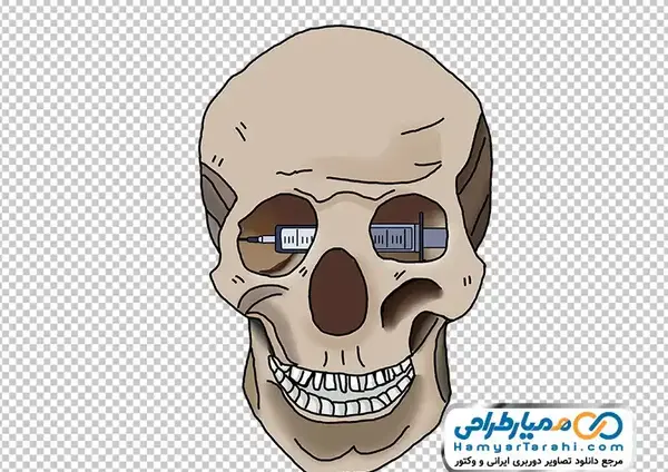 عکس اسکلت سر نقاشی