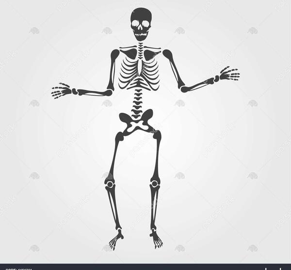 عکس اسکلت ساده برای نقاشی