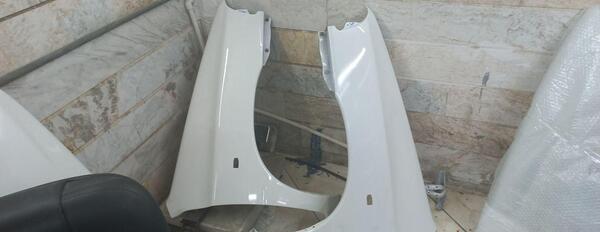 عکس اسکلت شاهین