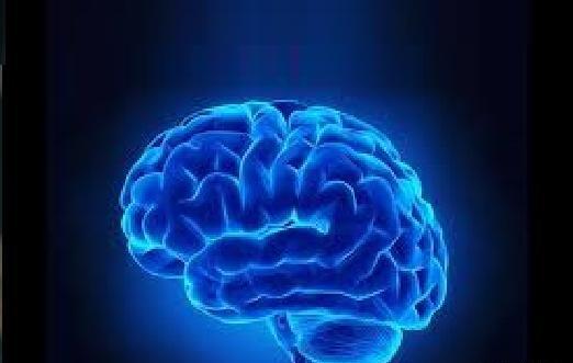 عکس اسکلت نادر شاه افشار