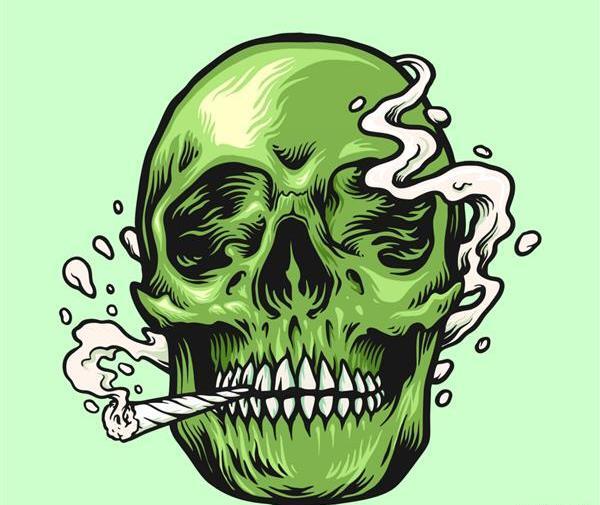 عکس اسکلت پرده سبز