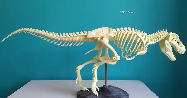 عکس نقاشی اسکلت دایناسور