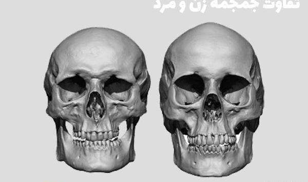 عکس اسکلت زن باردار