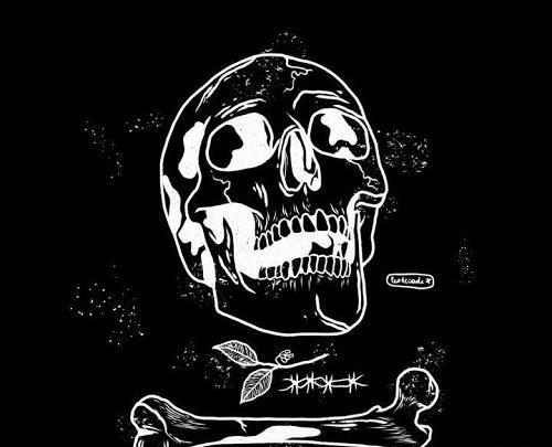 عکس های زیبای اسکلت