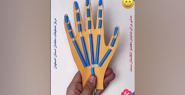 عکس اسکلت دست کلاس پنجم