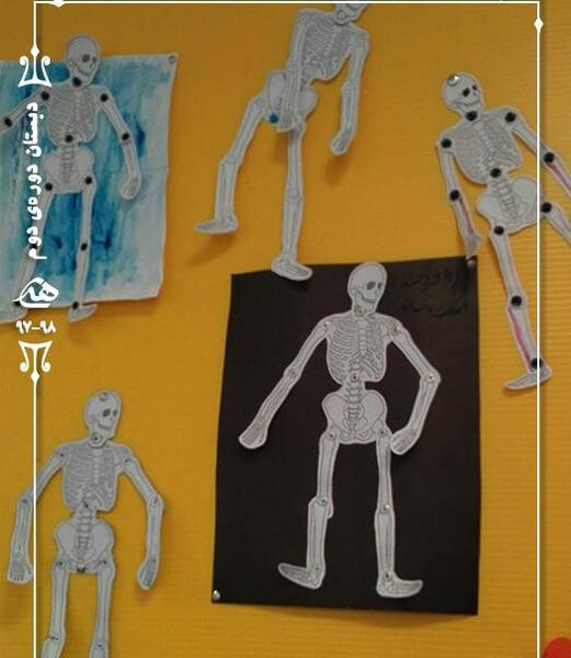 عکس اسکلت پایه پنجم
