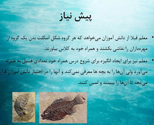 عکس اسکلت پایه پنجم