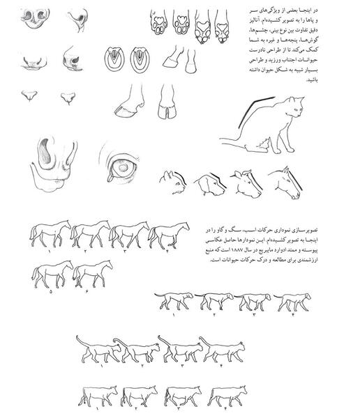 عکس اسکلت بدن حیوانات
