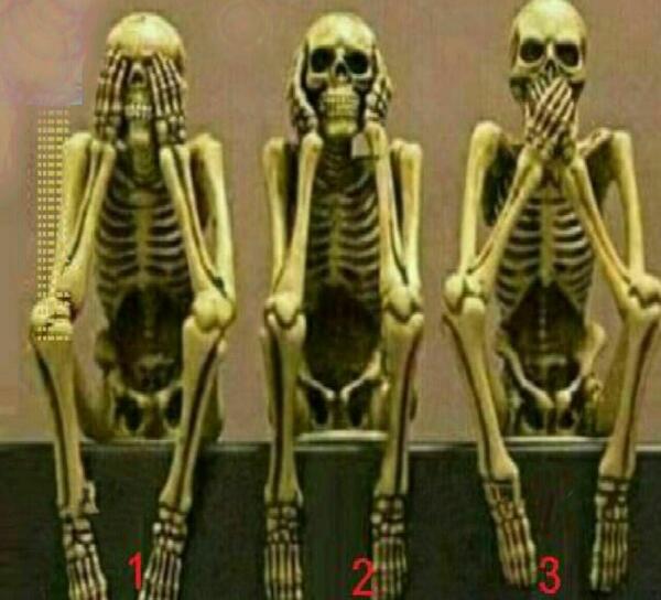 عکس اسکلت انسان با چوب کبریت