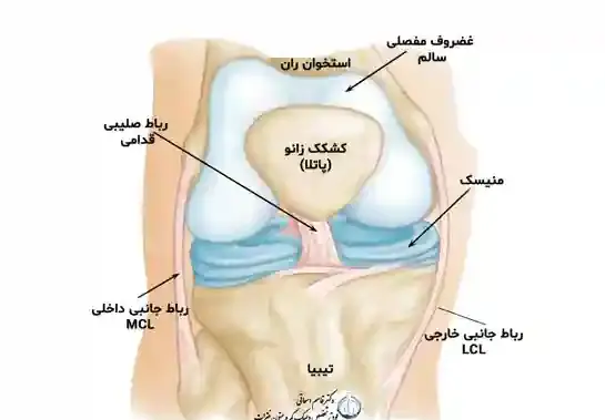 عکس اسکلت پای سالم