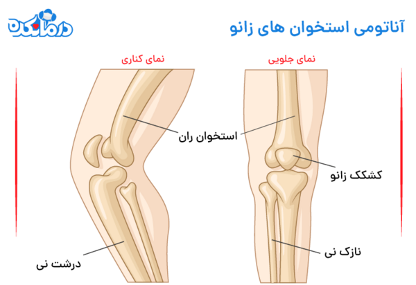 عکس اسکلت پای سالم