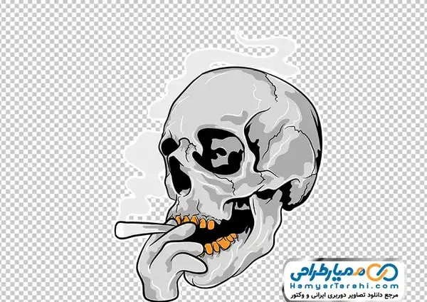عکس جمجمه و اسکلت