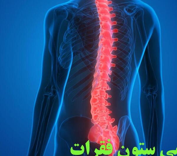 عکس اسکلت بدن انسان از پشت