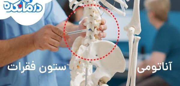عکس اسکلت آدمیزاد