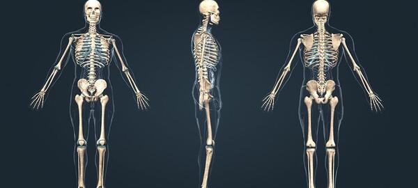 عکس اسکلت آدمی