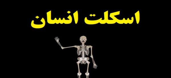 عکس اسکلت انسان کلاس پنجم