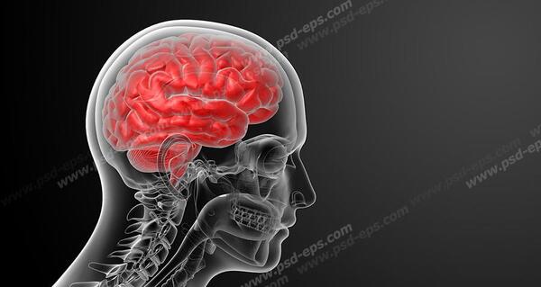 عکس اسکلت انسان برای پروفایل