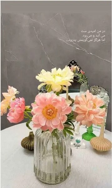 عکس خانه مینا مختاری