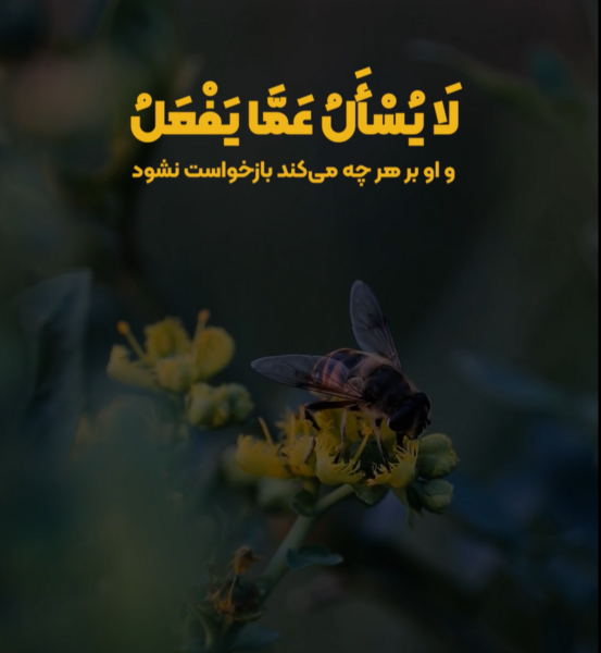 عکس اسم مختار برای پروفایل