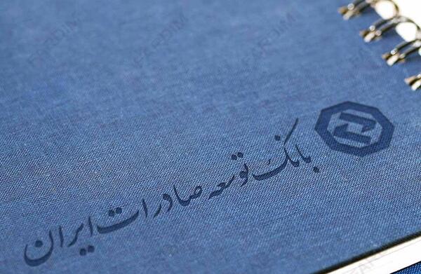 عکس لوگوی بانک توسعه صادرات