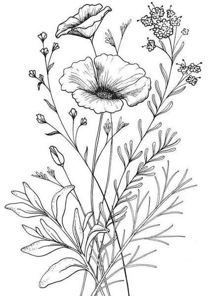 عکس گل سیاه سفید ساده