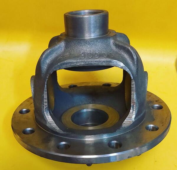 عکس کله گاوی نیسان
