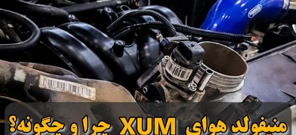 عکس منیفولد زانتیا
