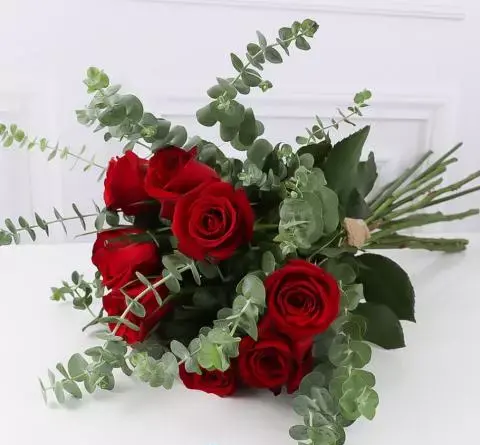 عکس مینی پارک رز در بوشهر