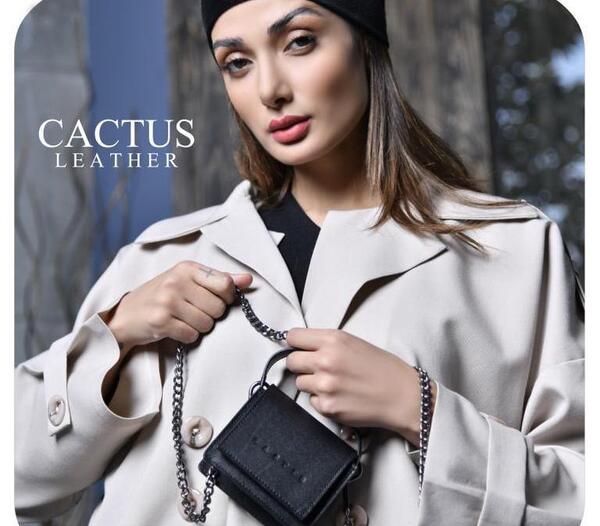 عکس کیف مینی بگ