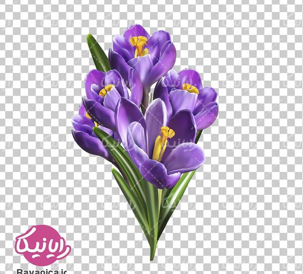 عکس لوگوی گل زعفران