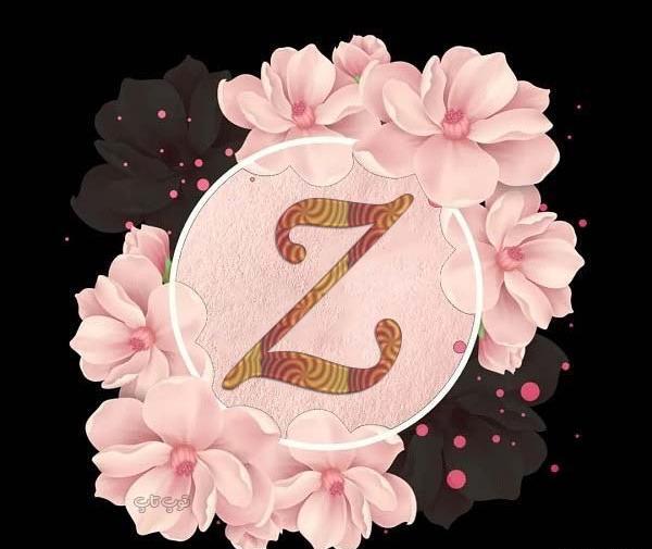 عکس لوگوی اسم زهرا به انگلیسی