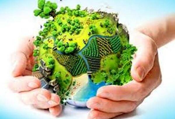 عکس لوگوی همیار طبیعت