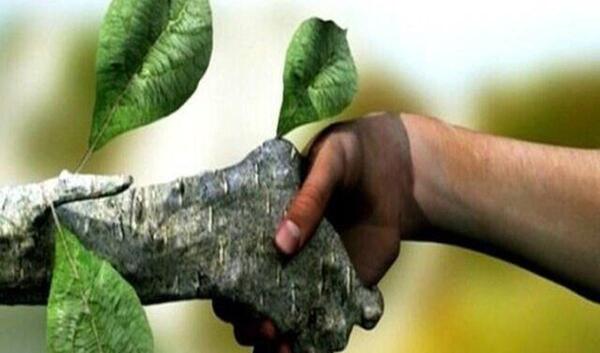 عکس لوگوی همیار طبیعت