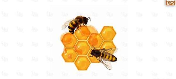 عکس طراحی لوگوی عسل