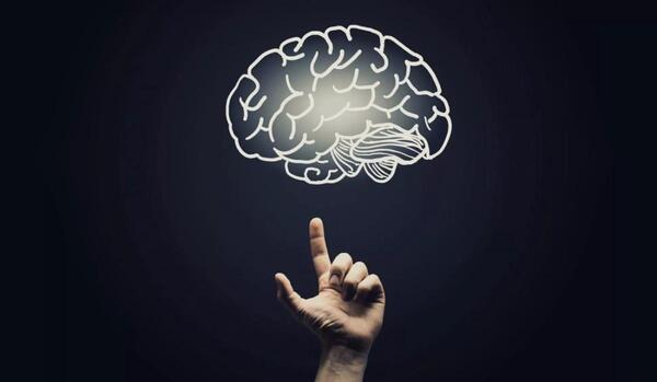عکس لوگوی علی گریزی