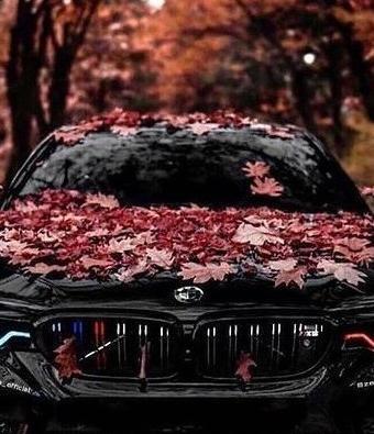 عکس پروفایل ماشین لکسوس
