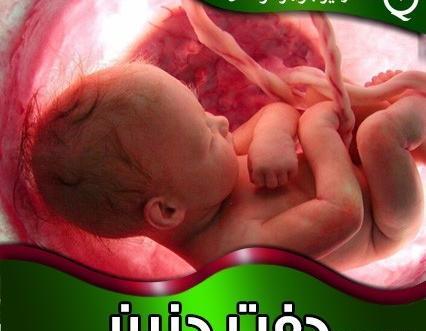 کیا ماهی که عکس رنگی گرفتن باردار شدن