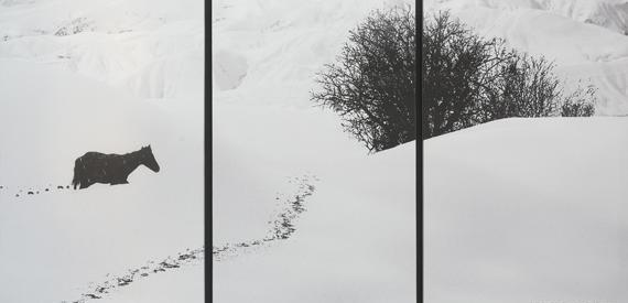 عباس کیارستمی عکس های