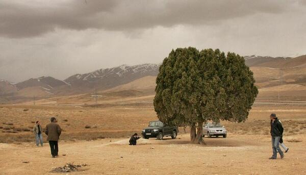 عباس کیارستمی عکس ها
