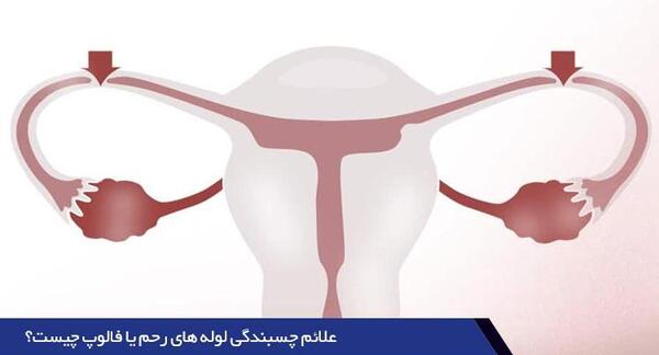 کیا دوبار عکس رنگی رحم گرفتن